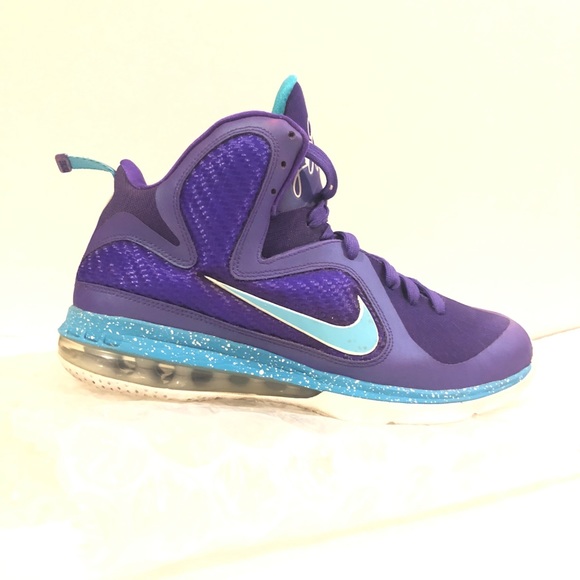 lebron james hornets shoes